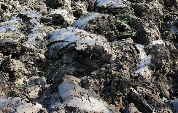 春に耕した後の土の湿った塊 — ストック写真