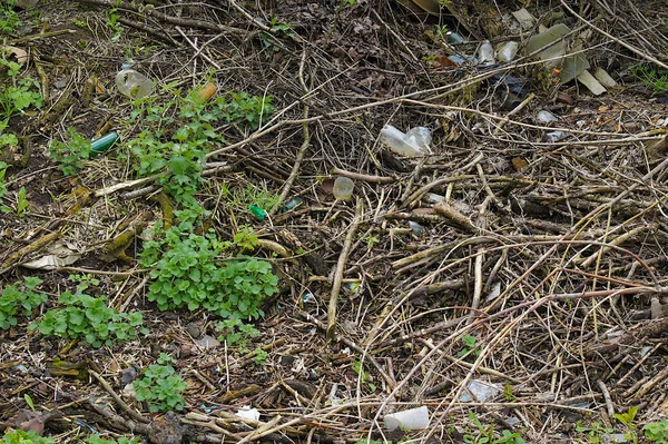 Los Vertederos Espontáneos Constituyen Problema Medioambiental Importante —  Fotos de Stock