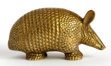 Altın armadillo