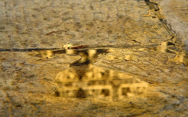 Foto Toont Een Gouden Reflectie Natte Stoep — Stockfoto