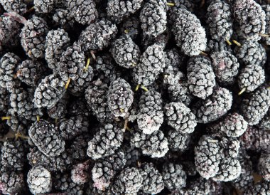 Arka plan olarak donmuş dut