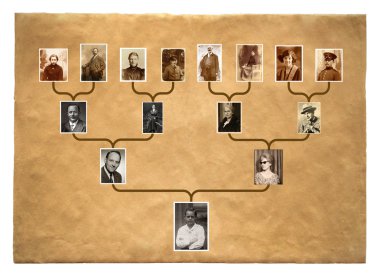 Ağaç aile öyküsü