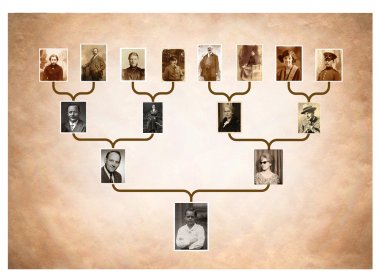 Tree of family history clipart