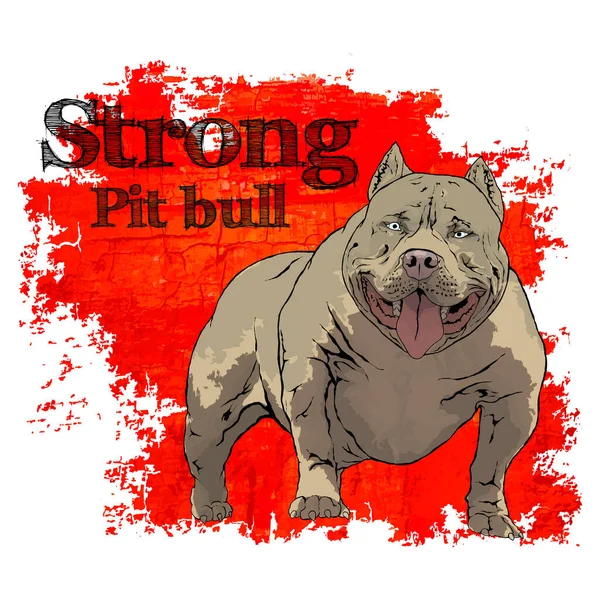 Beautiful Background Strong Pit Bull Dog3 — Διανυσματικό Αρχείο