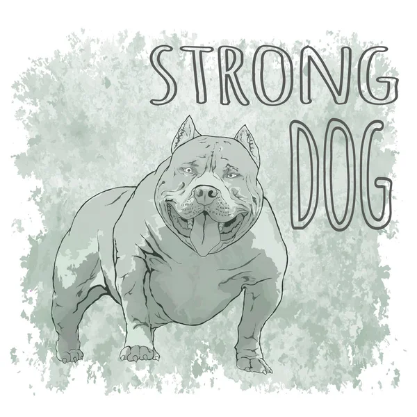 Beautiful Background Strong Pit Bull Dog1 — Διανυσματικό Αρχείο