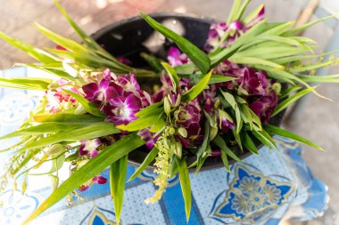 Budizm 'de dua etmek için orkide çiçeği