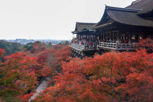 Kiyomizu Dera Lugar Más Famoso Kyoto Vino Gustos Nunca Vino — Foto de Stock