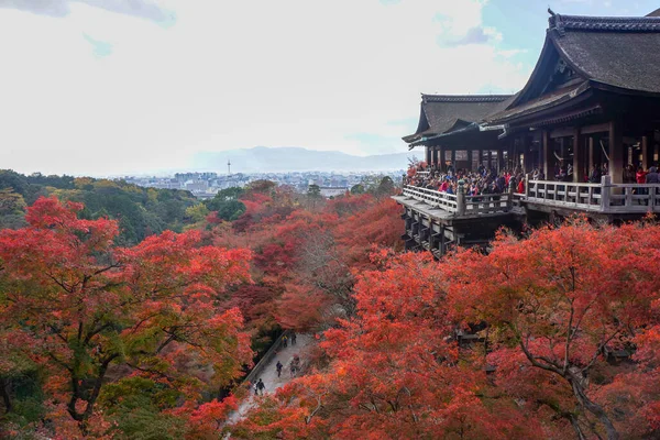 Kiyomizu Dera Lugar Más Famoso Kyoto Vino Gustos Nunca Vino — Foto de Stock