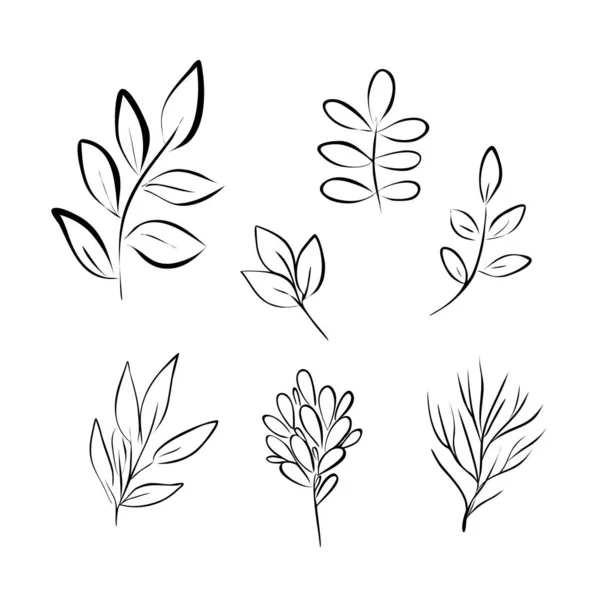 Folhas simples esboço vetor minimalista conceito ilustração, linha fina mão desenhado conjunto floral, elementos para design. — Vetor de Stock