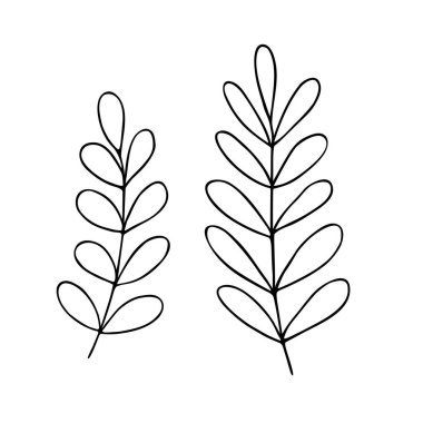 Basit vektör minimalist konsept çizimi, ince el çizimi çiçek dalı, davetiyeler, tebrik kartları, broşür tasarımı ögesi bırakır