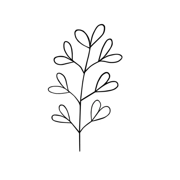 Folhas simples esboço vetor minimalista conceito ilustração, linha mão desenhada ramo floral, elemento para convites, cartões de saudação, design livreto — Vetor de Stock