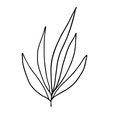 Basit vektör minimalist konsept çizimi, ince el çizimi çiçek dalı, davetiye, tebrik kartı, broşür bırakır