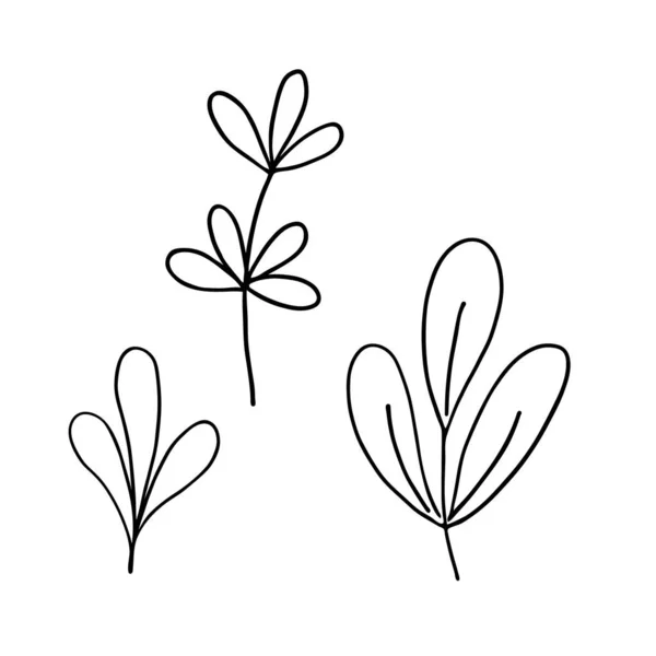 Zanechává jednoduchý obrysový vektor minimalistický koncept ilustrace, tenká čára ručně kreslené květinové větve, prvek pro pozvánky, blahopřání, brožura — Stockový vektor