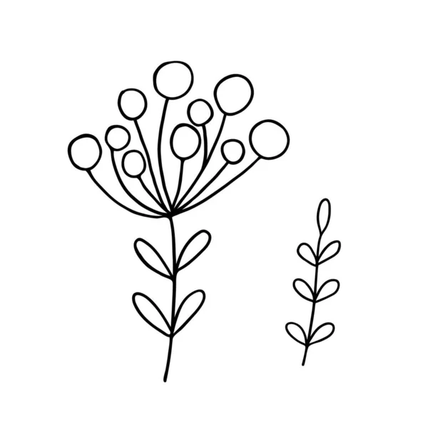 Hojas esquema simple vector minimalista concepto ilustración, delgada línea dibujada a mano rama floral, elemento para invitaciones, tarjetas de felicitación, folleto — Archivo Imágenes Vectoriales