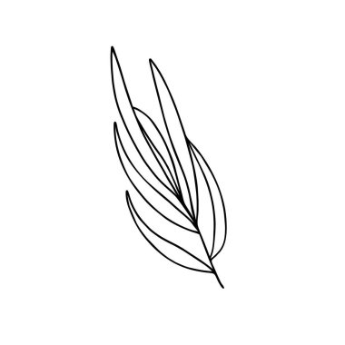 Geriye basit vektör minimalist konsept taslak çizimi, ince el çizimi çiçek dalı, davetiyeler, tebrik kartları, broşür tasarımı unsuru bırakır