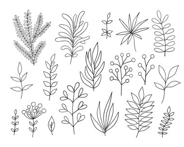 Yapraklar basit vektör minimalist konsept taslağı çizimi, ince el çizimi çiçek dalı, davetiyeler, tebrik kartları, broşür tasarımı için öge ayarlar