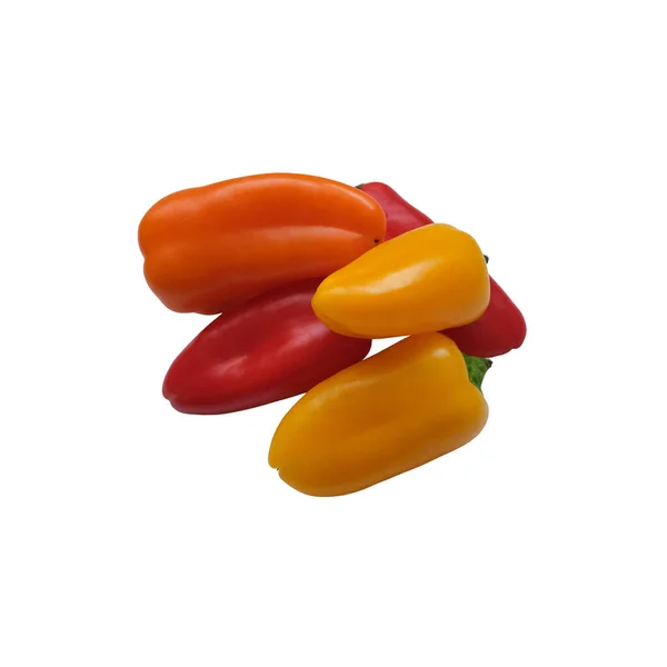 Oranje paprika 's close-up, verse biologische groente, decor voor elk ontwerp — Stockfoto