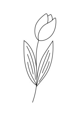 Lale çiçeği, basit bir el çizimi sanat karalama bitkisi, baharın sembolü, sıcacık ev, bahar bayramı kutlaması dekoru, kart, afiş, bahar dekorasyonu.