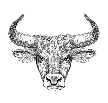 Ox-Taurus 'un yeni yılı 2021 kutlu olsun. Siyah arka planda doğrusal çizim, tarot, dövme, Çin burcu, astroloji ve burç işaretleri. Poster, kapak, takvim, logo için vektör illüstrasyonu.