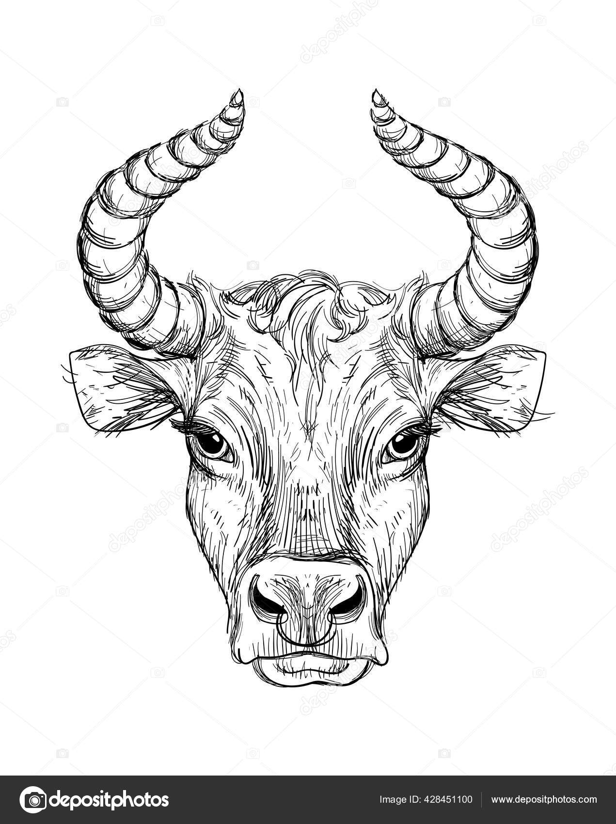 Feliz Ano Novo 2021 do Boi, Ox-Touro. Desenho linear sobre um fundo preto,  tarô, tatuagem, horóscopo chinês, astrologia e signos do zodíaco.  Ilustração vetorial para cartaz, capa, calendário, logotipo. Vetor de  ©Antusenok, image size:1271x1700