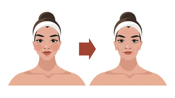 Le processus de vieillissement d'une femme, changements liés à l'âge dans le visage, illustrations pour un salon de beauté, procédures cosmétiques, chirurgie plastique, massage du visage, techniques de drainage lymphatique. Vecteur isolé sur — Image vectorielle