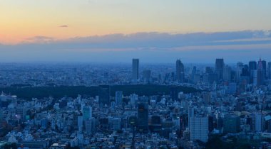 Ariel 'in günbatımındaki Tokyo manzarası. Tokyo bölgesi Japonya 'nın önde gelen sanayi merkezidir ve çok çeşitli üretim merkezleri vardır..