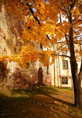 Rusya 'nın Vyborg kentindeki Vyborg Şato Müzesi' nde sonbahar manzarası.