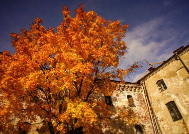 Rusya 'nın Vyborg kentindeki Vyborg Şato Müzesi' nde sonbahar manzarası.
