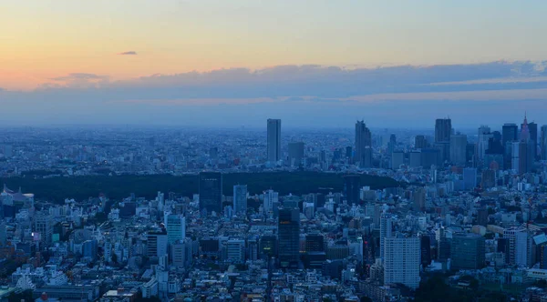 Ariel Utsikt Över Tokyo Stadsbild Solnedgången Tokyoregionen Japans Ledande Industricentrum — Stockfoto