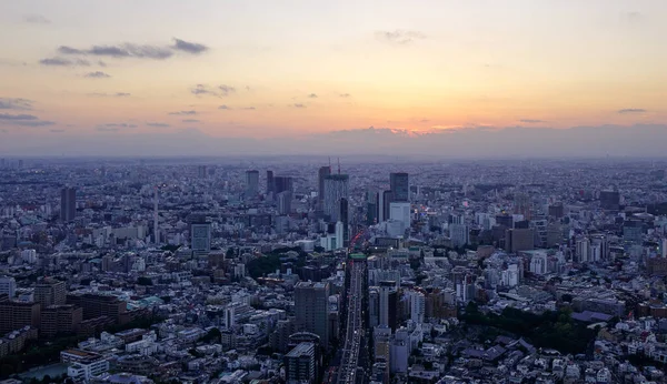 Ariel Utsikt Över Tokyo Stadsbild Solnedgången Tokyoregionen Japans Ledande Industricentrum — Stockfoto