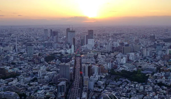 Ariel Utsikt Över Tokyo Stadsbild Solnedgången Tokyoregionen Japans Ledande Industricentrum — Stockfoto