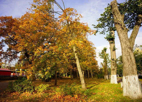 Őszi Park Viborgban Oroszországban Vyborg 174Km Északnyugatra Szentpétervártól Mindössze Finn — Stock Fotó