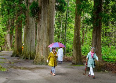 Aomori, Japonya - 16 Mayıs 2017. İnsanlar Japonya 'nın Aomori kentindeki Oirase Vadisi' nde yürüyor. Oirase Vadisi yemyeşil yosunları ve vahşi eğreltiotlarıyla yazın en ünlüsüdür..