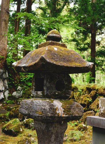 Lanterna Pedra Japonesa Floresta Profunda Lanternas Representavam Importantes Oferendas Simbólicas — Fotografia de Stock