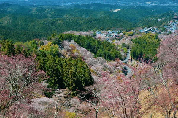日本奈良吉野的樱花 在日本 一年一度的樱花节是几千年来的文化传统 — 图库照片