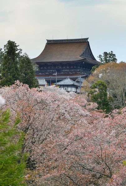 Flor Cerezo Pagoda Budista Nara Japón Festival Anual Flores Cerezo — Foto de Stock