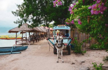 Gili, Endonezya - 17 Nisan 2016. Gili Adaları, Endonezya 'da turistleri bekleyen at arabası. Gili güzel ve huzurlu bir ada grubudur, araba motorlarının sesi yoktur..