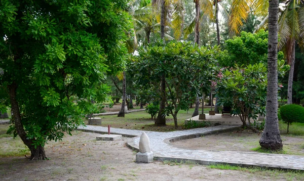 Tropischer Garten Einem Sommertag Auf Lombok Island Indonesien — Stockfoto