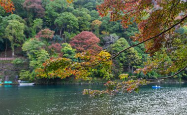 Arashiyama, Kyoto 'daki Hozugawa Nehri' nde sonbahar. Sonbahar nehrinde tekne gezisi Arashiyama 'da harika bir deneyimdir..