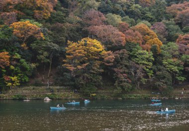 Kyoto, Japonya - 22 Kasım 2019. Arashiyama, Kyoto 'daki Hozugawa Nehri' nde sonbahar. Sonbahar nehrinde tekne gezisi Arashiyama 'da harika bir deneyimdir..