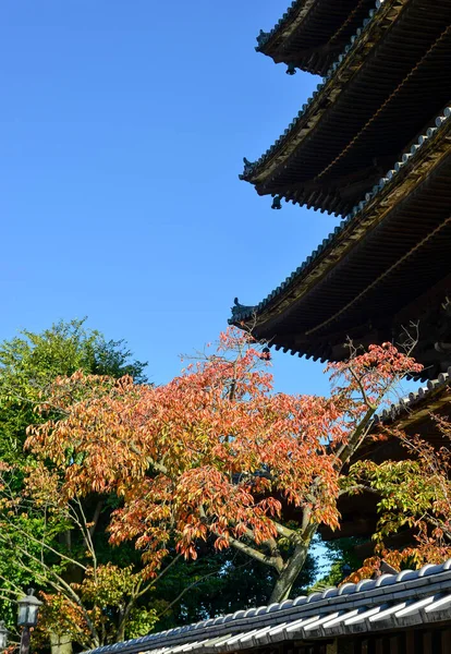 Torre Yasaka Pagoda Templo Hokan Kyoto Japão Localizado Distrito Higashiyama — Fotografia de Stock