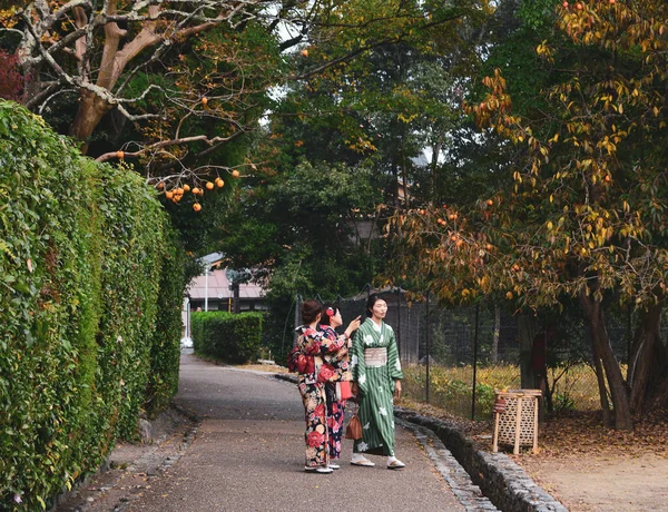 Kyoto Japón Nov 2019 Gente Con Kimono Caminando Por Casco —  Fotos de Stock