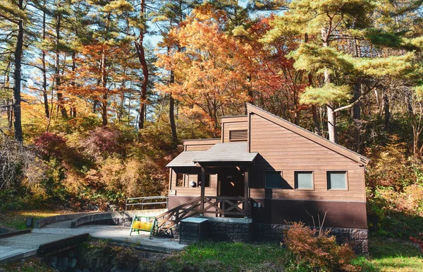Uma Pequena Casa Férias Madeira Meio Uma Floresta Outono — Fotografia de Stock
