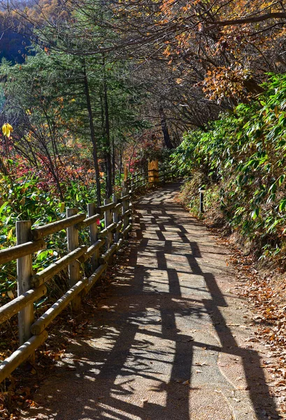 Herfst Landschap Zonnige Dag Kusatsu Onsen Town Gunma Japan — Stockfoto