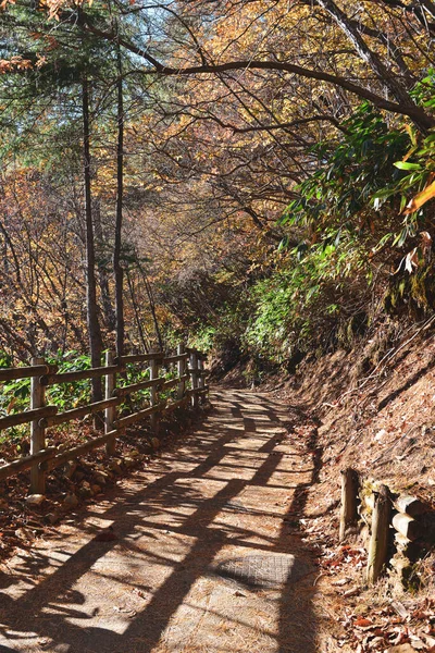 Осенний Пейзаж Солнечный День Городе Кусацу Онсен Гунма Япония — стоковое фото