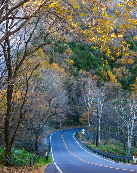 Шлях Через Осінній Ліс Місті Кусацу Японія — стокове фото