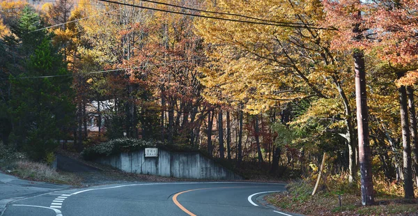 Cesta Podzimním Lesem Kusatsu Onsen Town Japonsko — Stock fotografie