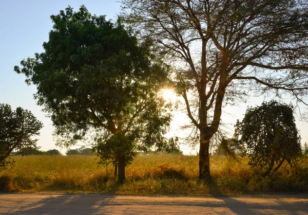 Landschap Prachtige Zonsondergang Bagan Myanmar — Stockfoto