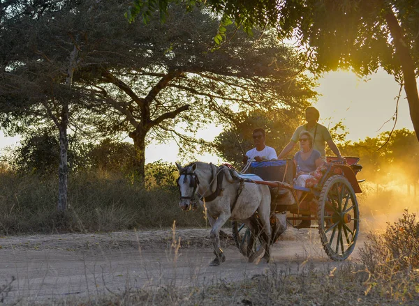 Bagan Myanmar Februari 2017 Paardenkoets Stoffige Weg Schitterende Zonsondergang Zon — Stockfoto