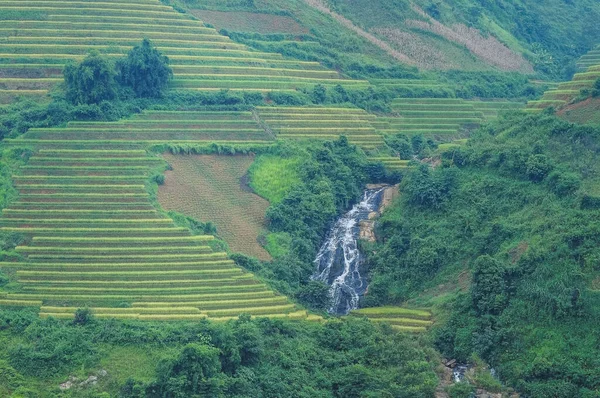 Γήπεδο Ρυζιού Στο Sapa Βιετνάμ Sapa Terraced Πεδία Είναι Ένα — Φωτογραφία Αρχείου